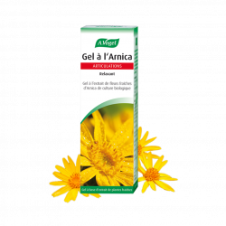 VOGEL ARNICA Gel - 100ml