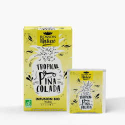 ROMON NATURE TROPICAL PINA COLADA INFUSION BIO - 16 Sachets