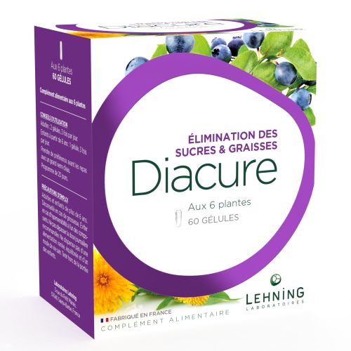 LEHNING DIACURE - 60 Gélules