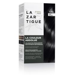 LAZARTIGUE LA COULEUR ABSOLUE - 1.00 NOIR