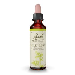 FLEURS DE BACH N°37 Wild Rose - 20ml