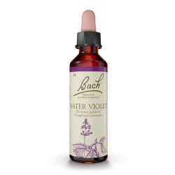 FLEURS DE BACH N°34 Water Violet - 20ml