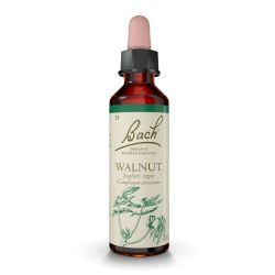 FLEURS DE BACH N°33 Walnut - 20 ml