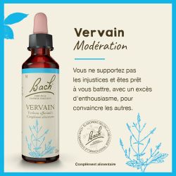 FLEURS DE BACH N°31 Vervain - 20ml