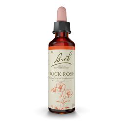 FLEURS DE BACH n°26Rock Rose - 20ml