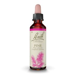 FLEURS DE BACH N°24 Pine- 20ml