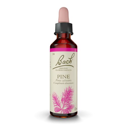 FLEURS DE BACH N°24 Pine- 20ml