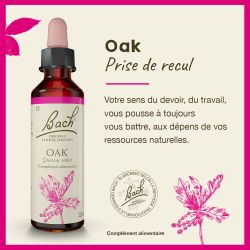 FLEURS DE BACH N°22 Oak - 20ml