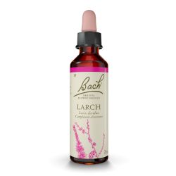 FLEURS DE BACH N°19 Larch - 20ml