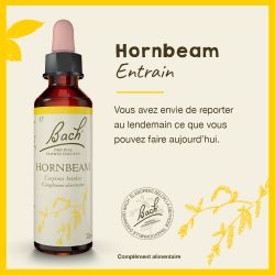 FLEURS DE BACH N°17 Hornbeam- 20ml