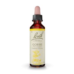 FLEURS DE BACH N°13 Gorse - 20ml