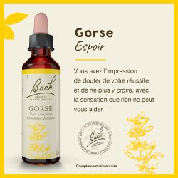 FLEURS DE BACH N°13 Gorse - 20ml