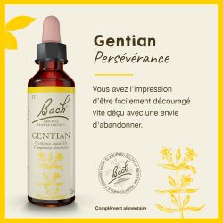 FLEURS DE BACH N°12 Gentian - 20 ml