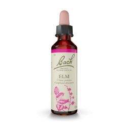 FLEURS DE BACH N°11 Elm - 20 ml