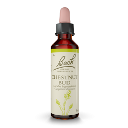 FLEURS DE BACH N°07 Chestnut Bud - 20ml