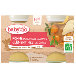 BABYBIO PETITS POTS FRUITS + 6 Mois Pomme Clémentines - 2x130g