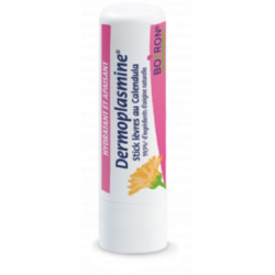 DERMOPLASMINE STICK LEVRES CALENDULA - 1 Stick