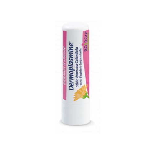 DERMOPLASMINE STICK LEVRES CALENDULA - 1 Stick