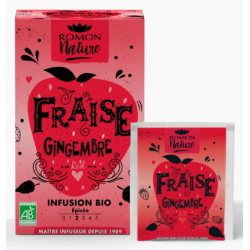 ROMON NATURE TISANE Fraise Gingembre Bio - 16 Sachets