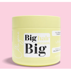 BIG HAIR DREAMS Masque Collagène Karité - 500ml