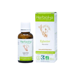 HERBIOLYS GEMMOTHÉRAPIE Églantier Sans Alcool Bio - 30ml