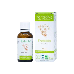 HERBIOLYS GEMMOTHÉRAPIE Framboisier Sans Alcool Bio - 30ml