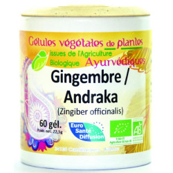 PHYTOFRANCE Andraka/Gingembre BIO 300mg - 60 Gélules