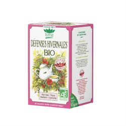 ROMON NATURE TISANE Défenses Hivernales Bio - 20 Sachets