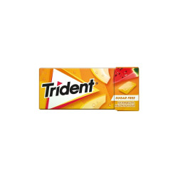 TRIDENT Pastèque Melon Sans Sucre - 10 Chewing Gums