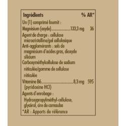 SOLGAR MAGNESIUM WITH VITAMIN B6 - 100 Tablets