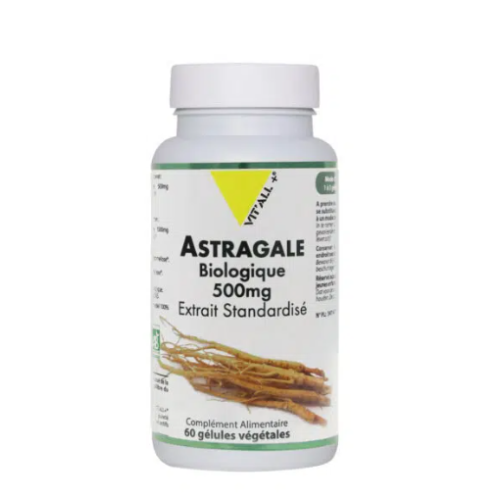 VIT'ALL + ASTRAGALUS 60 CAPSULES 500MG