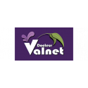 Docteur Valnet