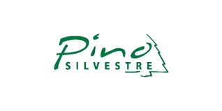 PINO SILVESTRE