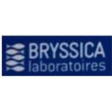 BRYSSICA