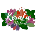 KERALA NATURE