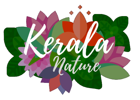 KERALA NATURE